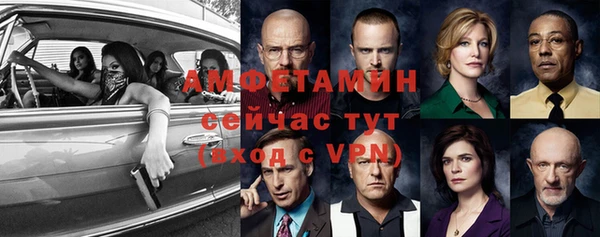 прущие грибы Надым