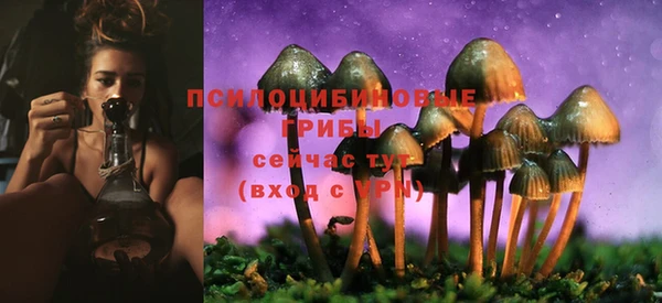 скорость Алзамай